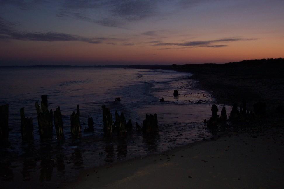 Click to view normal size